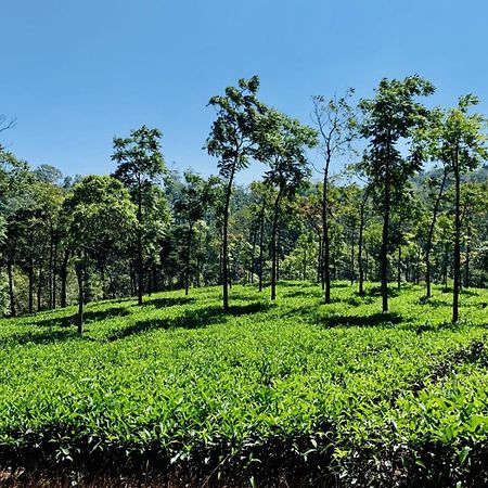 Cassells Jungle Resorts Thekkady Vandiperiyar Екстер'єр фото