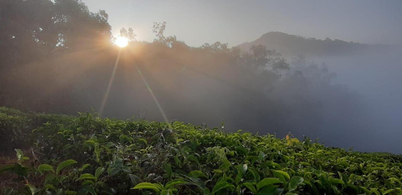 Cassells Jungle Resorts Thekkady Vandiperiyar Екстер'єр фото