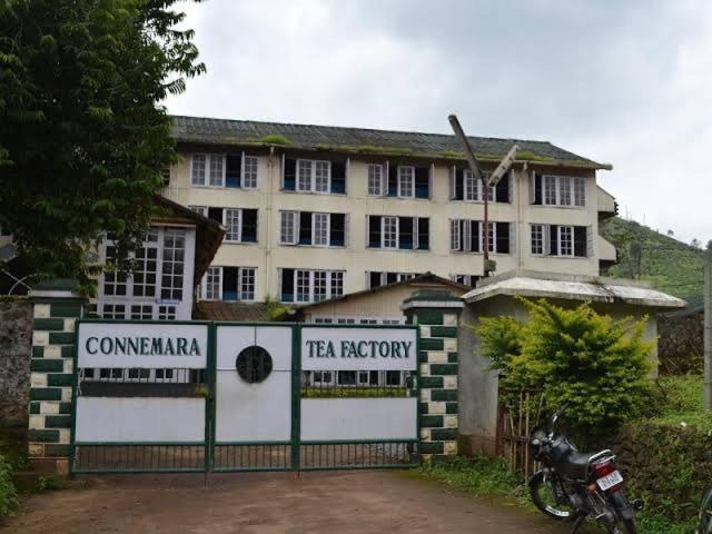 Cassells Jungle Resorts Thekkady Vandiperiyar Екстер'єр фото