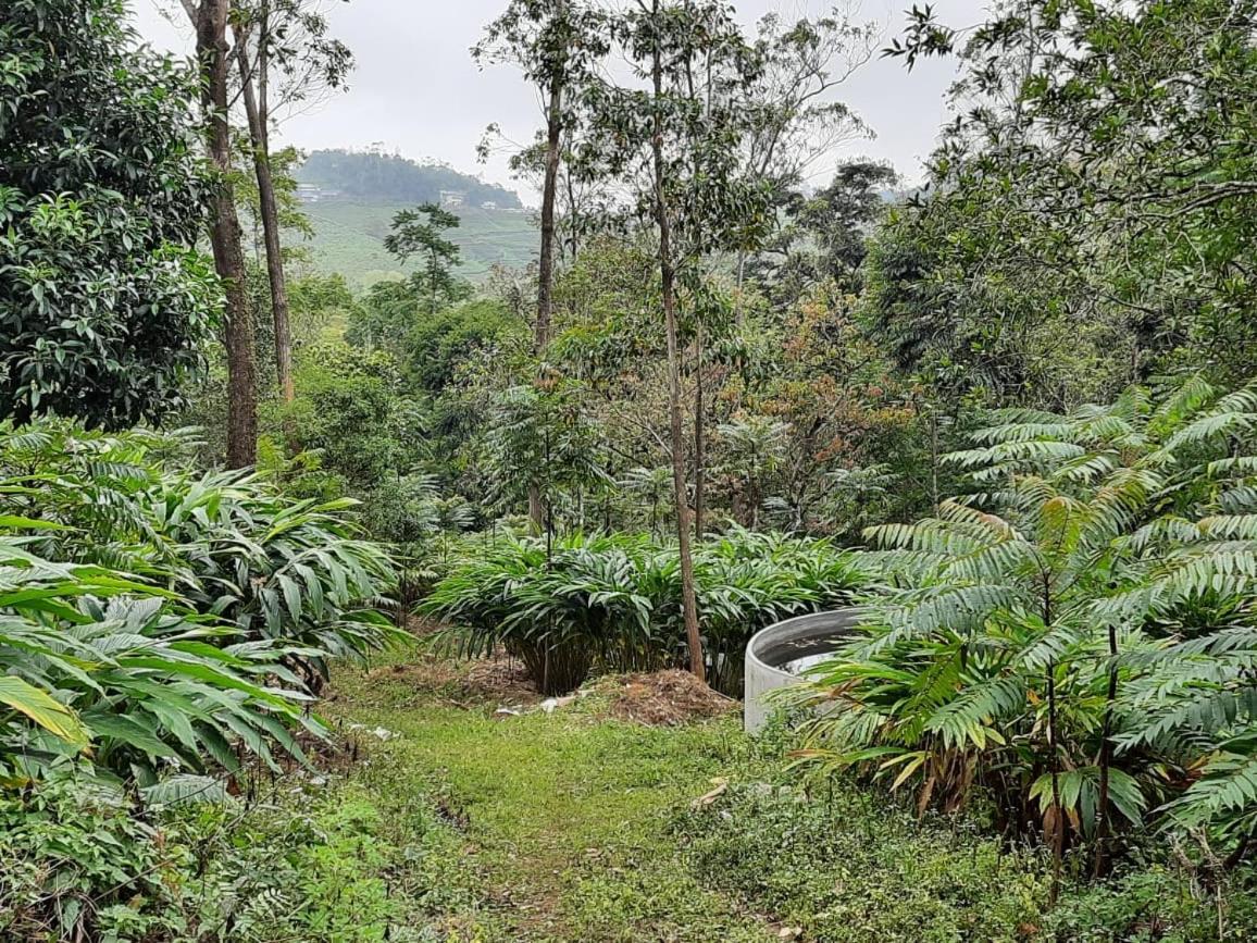 Cassells Jungle Resorts Thekkady Vandiperiyar Екстер'єр фото
