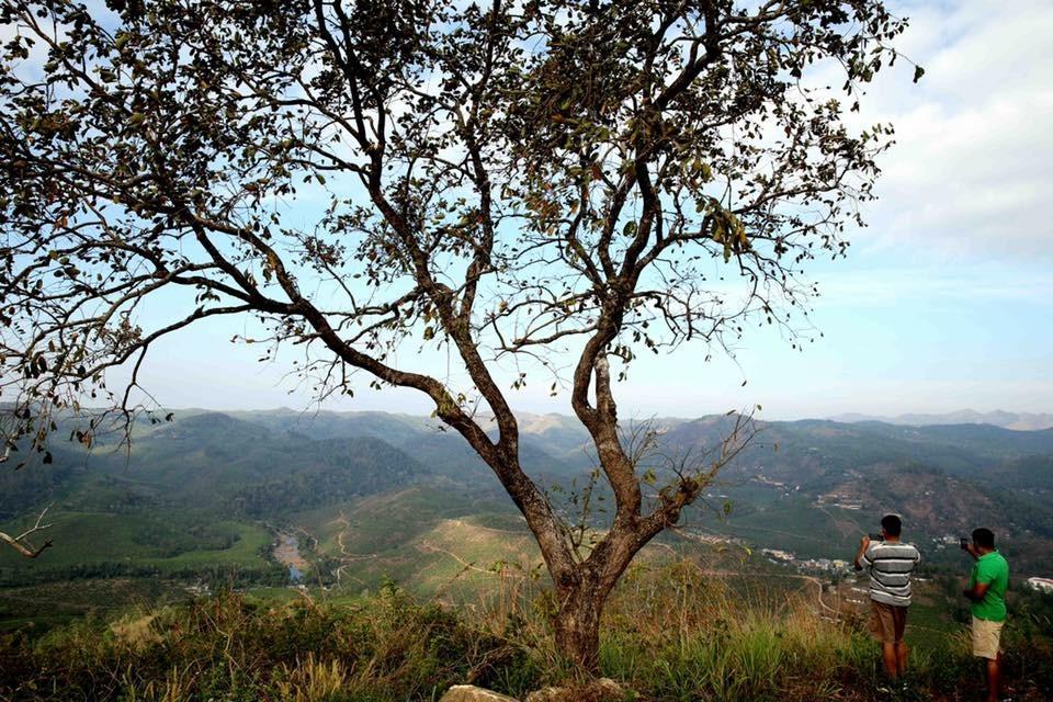 Cassells Jungle Resorts Thekkady Vandiperiyar Екстер'єр фото